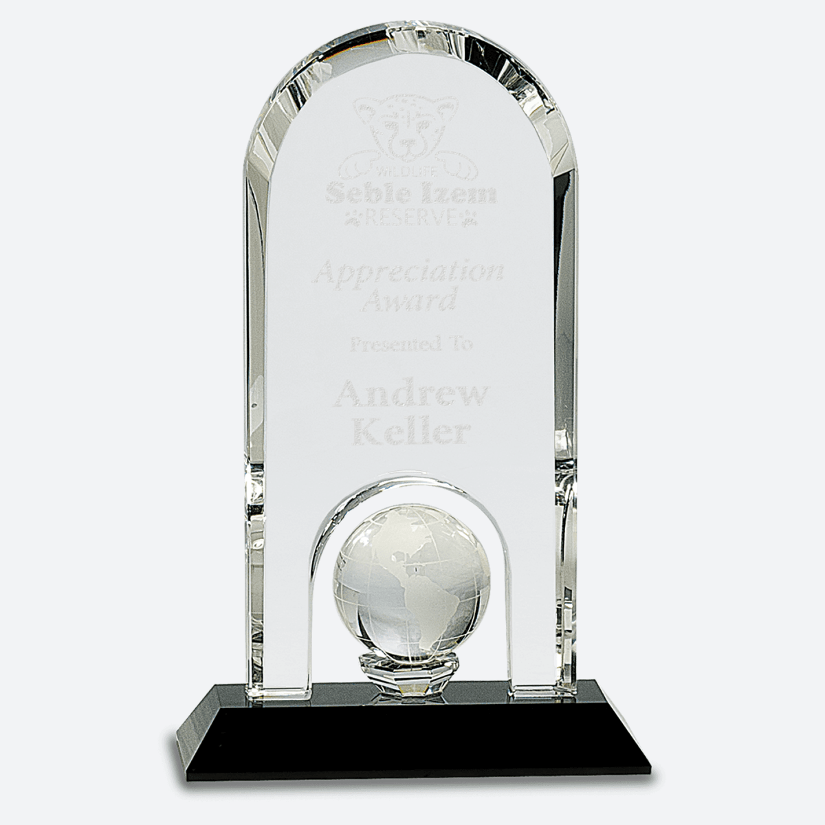 Clear Crystal Dome with Inset Globe on Black Pedestal Base