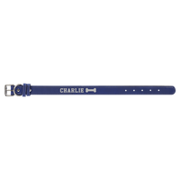 Blue/Silver