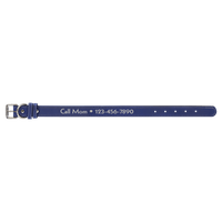 Blue/Silver