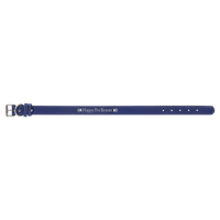 Blue/Silver