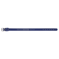 Blue/Silver