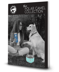 Polar Camel Collection